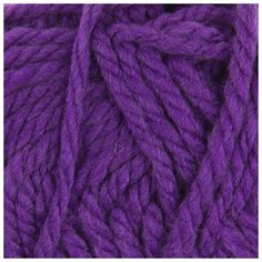 Пряжа Пехорка "Осенняя", 150 метров, 5 мотков по 200 грамм, цвет: 78 фиолетовый