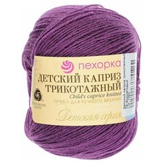 Пряжа Пехорка "Детский каприз трикотажный", 400 метров, 5 мотков по 50 грамм, цвет: 78 фиолетовый