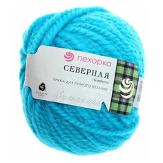 Пряжа Пехорка "Северная", 50 метров, 10 мотков по 50 грамм, цвет: 583 бирюза