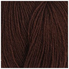 Пряжа Пехорка "Детский каприз трикотажный", 400 метров, 5 мотков по 50 грамм, цвет: 251 коричневый