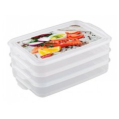 Контейнер для продуктов с декором "Food system", 3 секции Бытпласт