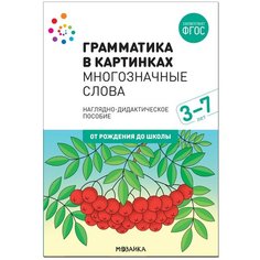 Бывшева А. "Грамматика в картинках. Многозначные слова. ФГОС. Наглядно-дидактическое пособие" Мозаика Синтез