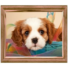 Алмазная мозаика Любопытный щенок 20х32 см, полн. заполнение, c подр. Рыжий кот