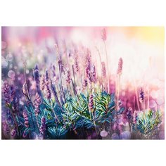 Кристальная мозаика (алмазная вышивка) "фрея" ALVR-220 "Цветущая лаванда" 65 х 45 см