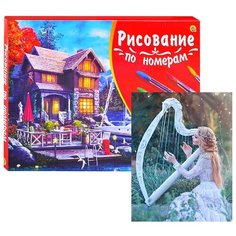 Холст с красками по номерам Рыжий кот Палитра, 40*50 см, Девушка и арфа (Х-3094)