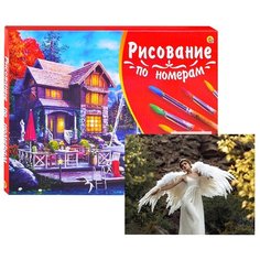 Холст с красками по номерам Рыжий кот Палитра, 40*50 см, Нежный ангел (Х-3096)