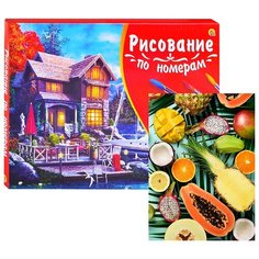 Холст с красками по номерам Рыжий кот Палитра, 40*50 см, Экзотические фрукты (Х-3107)