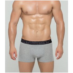 Salvador Dali Трусы боксеры с шелковистой основой, размер XXXL, серый