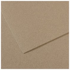 Бумага для пастели Mi-Teintes 160г/м.кв 50*65см №429, серая дымка,10л Canson