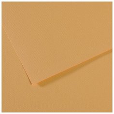 Бумага для пастели Mi-Teintes 160г/м.кв 50*65см №340, конопляный,10л Canson