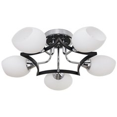 Потолочный светильник 50226/5CR BK WT ЭкономСвет