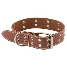 Ошейник для собак "Homepet", простроченный, с украшениями (натуральная кожа), цвет: коричневый, 45 мм x 59-71 см