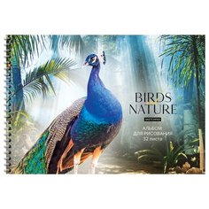 Альбом для рисования А4, 32л ArtSpace "Животные. Birds and nature" (100 г/кв.м, спираль) 6шт. (А32сп_36056)