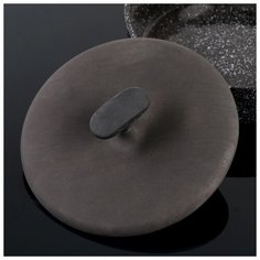 Крышка-пресс чугунная для гриля 22 см 2424035 Siton