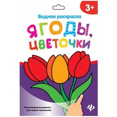 Феникс Водная раскраска. Ягоды, цветочки