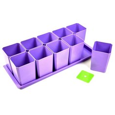 Набор горшков для рассады, 10 стаканов по 750 мл на поддоне (фиолетовый) Pelikan