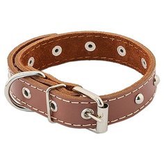 Ошейник для собак "Homepet", двойной простроченный, с украшениями (натуральная кожа), цвет: коричневый, 35 мм x 59-61 см