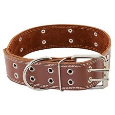 Ошейник для собак "Homepet", двойной простроченный, с украшениями (натуральная кожа), цвет: коричневый, 45 мм x 59-71 см