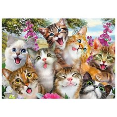 Schmidt Пазл Schmidt 500 деталей: Селфи-кошки