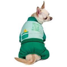 Комбинезон зимний для собак Triol Disney Winnie-the-Pooh Green S, размер 25см.