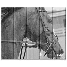 DALI Картина по номерам "Лошадь в поводьях" 40х50 см (WF001)