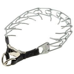 ZooOne. Ошейник строгий, для собак, 3,8 мм х 75 см