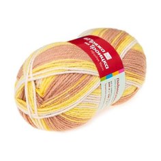 Пряжа из Троицка "Подмосковная принт, секц." 100гр. 250м. (50%шерсть, 50%акрил), 7212 принт, упаковка 10 шт. Троицкая камвольная фабрика