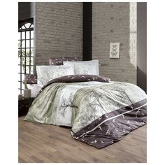 Постельное белье "DO&CO DELUX DOGA" из сатина; арт: 10503-коричневый; Размер: евро