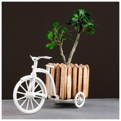 Кашпо-велосипед 26*12*18см 5274533 Take It Easy