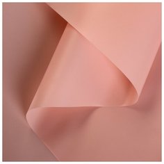 Пленка матовая, пудра светлая, 0,5 х 10 м 4493092 Сима ленд