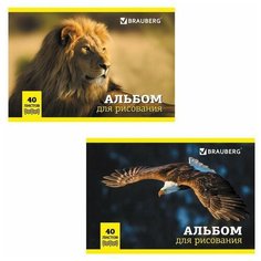 Альбом для рисования, А4, 40 л., скоба, обложка картон, BRAUBERG, 200х283 мм, "Дикие животные" (2 вида), 104876