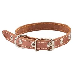 Ошейник Homepet 51120, обхват шеи 32-42 см коричневый