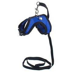 Комплект для собак и кошек Дарэлл "Аэро №7", поводок и шлейка, обхват груди 30-36 см