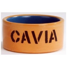Beeztees 801480 миска керамическая д/морской свинки бежево-голубая 11,5см