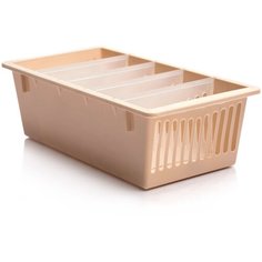 КОНТЕЙНЕР ДЛЯ СПЕЦИЙ 5 секции (бежевый) Полимербыт