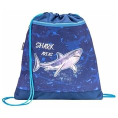 Belmil Мешок-рюкзак для обуви с карманом 35х43 см Shark 2 336-91/9Shark2