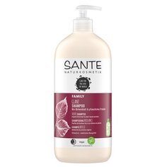 Шампунь с био-берёзой и растительными протеинами, для блеска волос Sante 950 мл