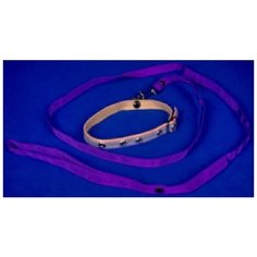 Томикс 0175 комплект для собак поводок светоотражающий+ошейник двухслойный капрон 1,3м*12мм