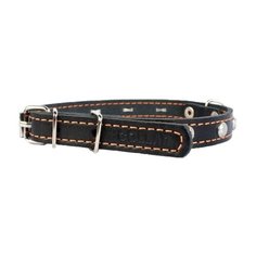 Ошейник COLLAR одинарный с украшением 0004, обхват шеи 27-35 см черный