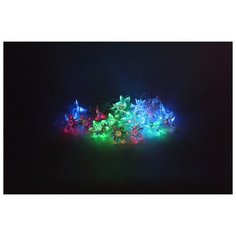 ENIN-3Z ЭРА Гирлянда LED Нить Цветы 3 м мультиколор, 220V, IP20 ERA