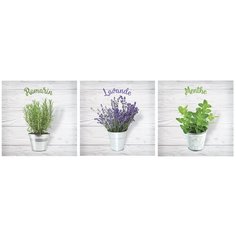Картины на холсте LOFTime 3 шт 30Х30 мята лаванда розмарин прованс К-74-3030