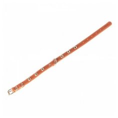 [818.01351] ошейник одинарный с украшением (ширина 20мм, длина 32-40см ) черный, 818.01351 (2 шт) Collar