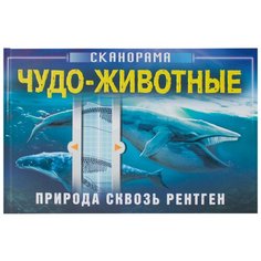 Клейбурн А. "Сканорама. Природа сквозь рентген. Чудо-животные" Мозаика Синтез
