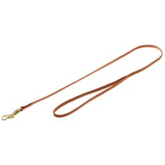 Поводок для собак ZooOne с карабином (лента-чулок) светло-коричневый/золотой 1.2 м 7 мм