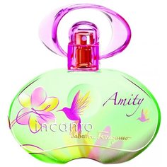 Туалетная вода Salvatore Ferragamo Incanto Amity, 50 мл