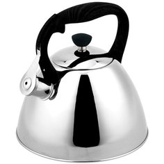 Чайник металлический Rainstahl RS - 7694-35, объем 3,5л