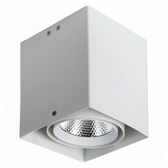 Накладной светильник Favourite Flashled 1986-1U