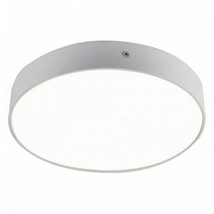 Накладной светильник Favourite