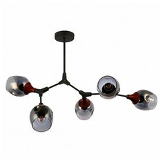 Люстра на штанге EVOLUCE Ciotolla SLE113402-05