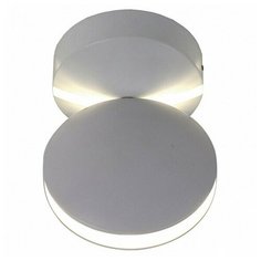 Светильник на штанге Favourite